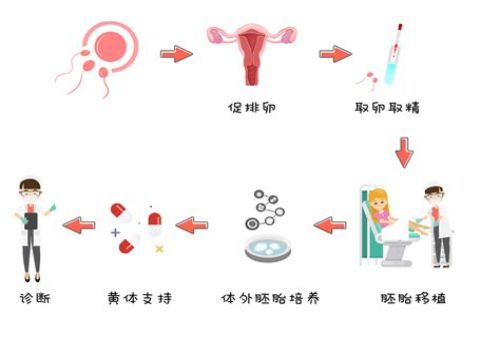 天津助孕代怀：孕妇吃安宝对胎儿有影响吗,宝妈一定要注意服用