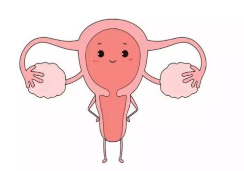 双胞胎在母亲肚子里打架出生后全身淤青？真假一目了然。