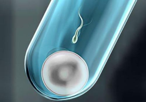 天津供精试管：2023年南阳中心医院试管婴儿的流程有哪些？附成功率和具体流程