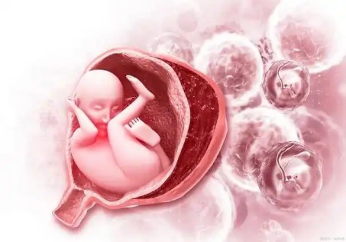 天津代生代怀公司：孕妇怀孕分前壁和后壁，后壁怀孕不一定比前壁累