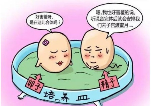 天津代怀生男孩价格：子宫肌瘤患者可以吃蜂蜜吗,子宫肌瘤患者吃蜂蜜要注意什么