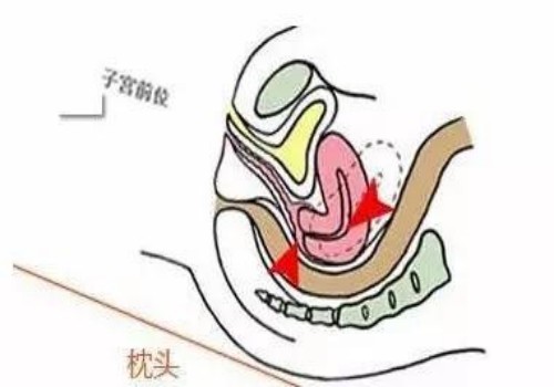天津代怀生男孩机构：生孩子赶节气的忌讳所在你知道吗？