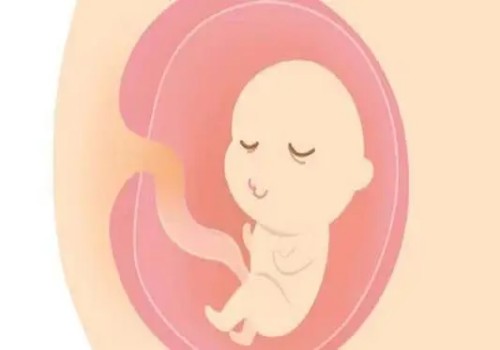 天津试管供卵代怀：试管取卵后尿酸会升高，跟这些因素有关